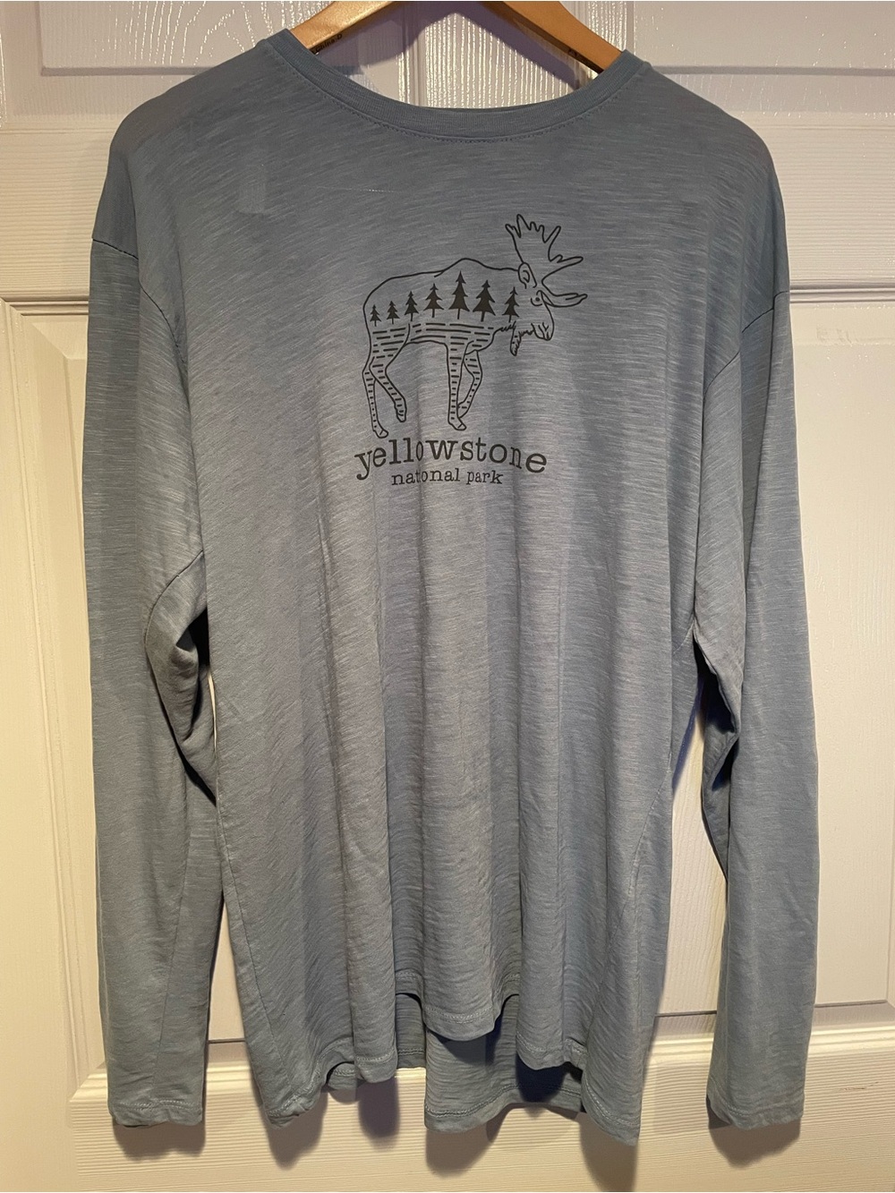 National Park Men's Long Sleeve Tee - Light Blue